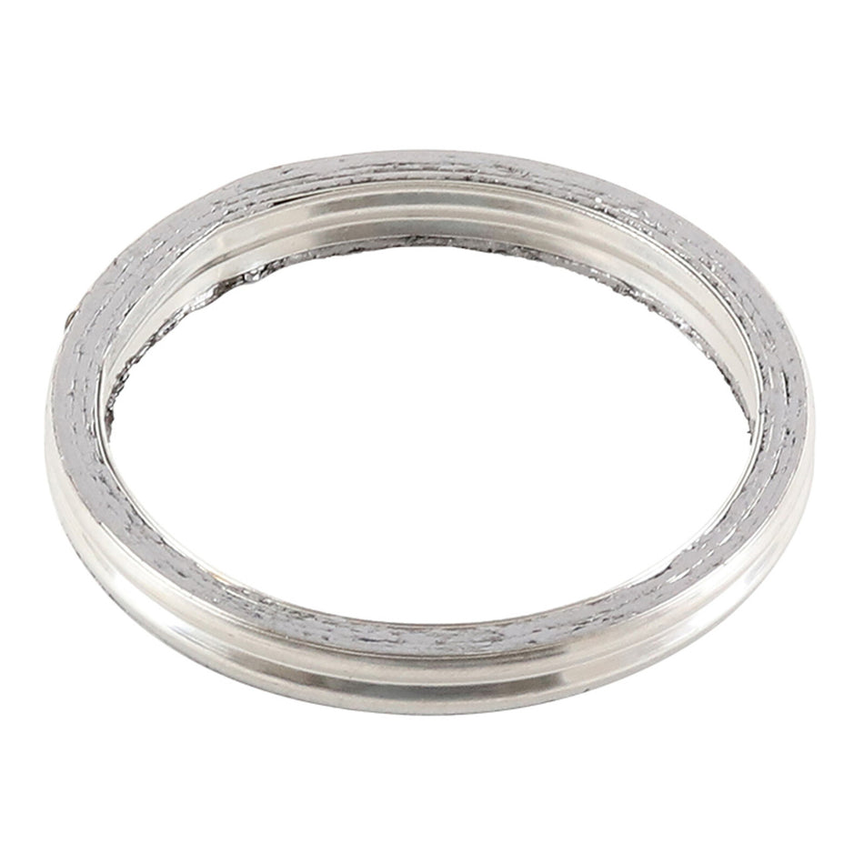 Exhaust Gasket Kit 823070