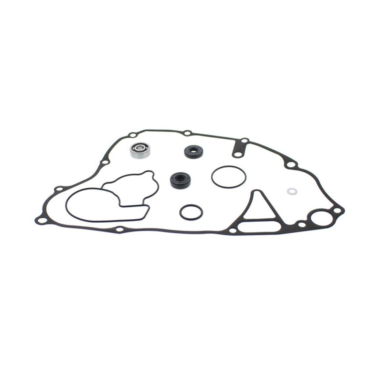 Water Pump Rebuild Kit 821984