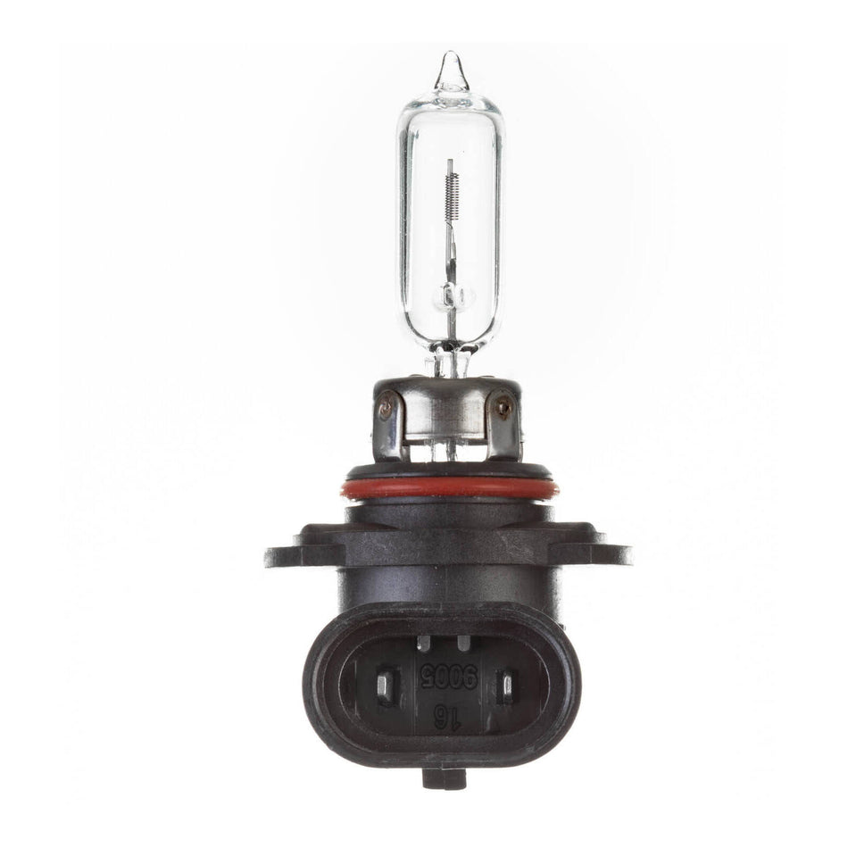 Globe 12V 60W H/L HB3 Plastic Base Halogen (ea)