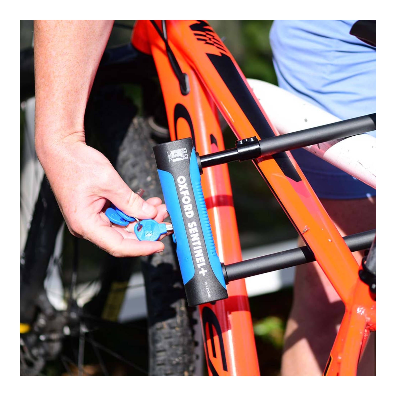 Oxford Sentinel Pro U-Lock 320mm X 177mm