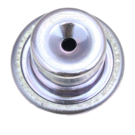 Quantum Fuel Pressure Regulator