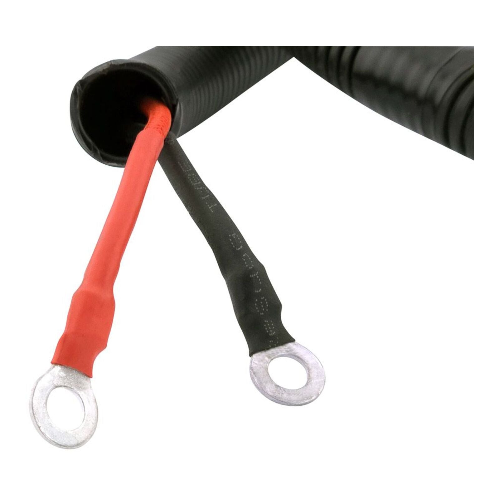 Voltage Regulator Rectifier Bypass – BMW Assorted Models