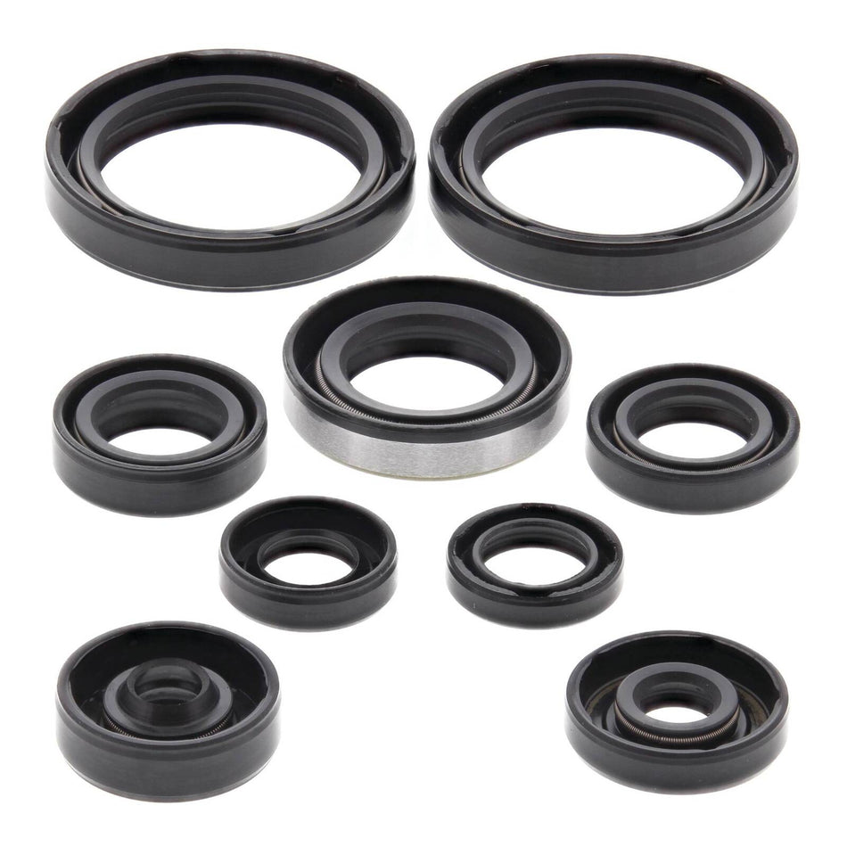 Oil Seal Kit 822316