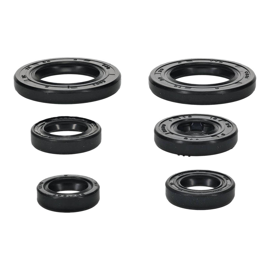 Oil Seal Kit 822391