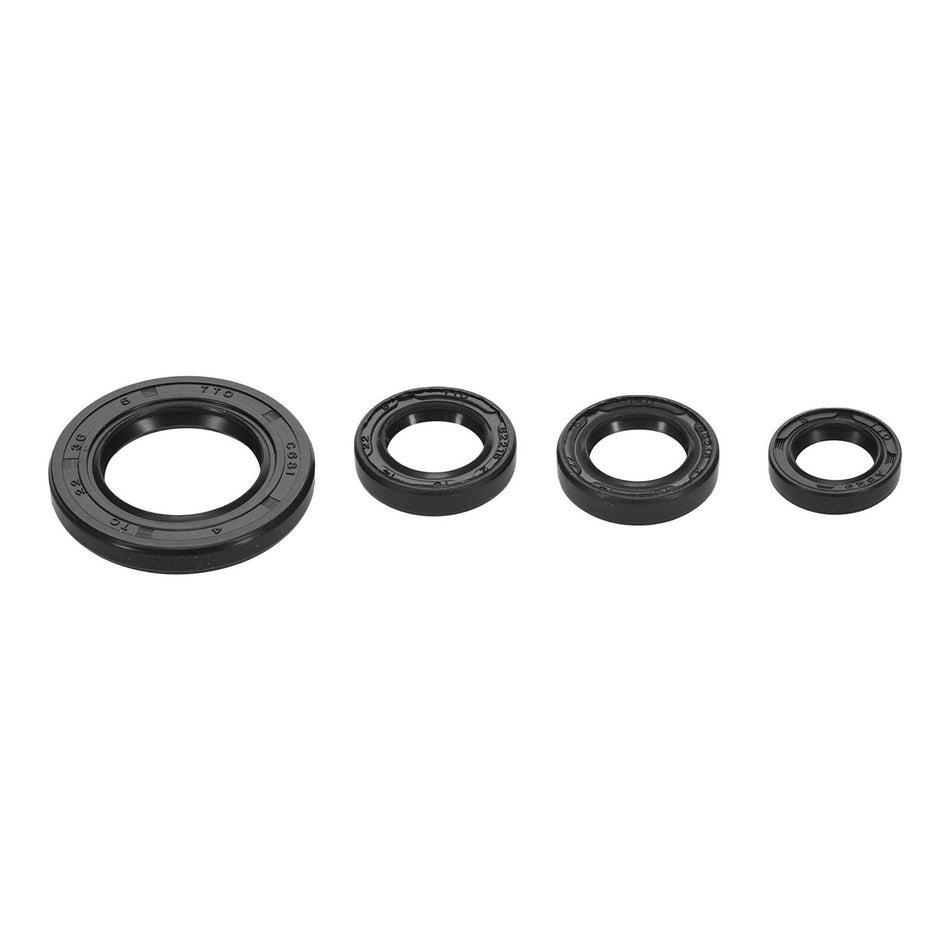 Oil Seal Kit 822395