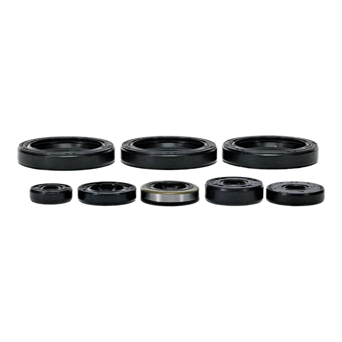 Oil Seal Kit 822403